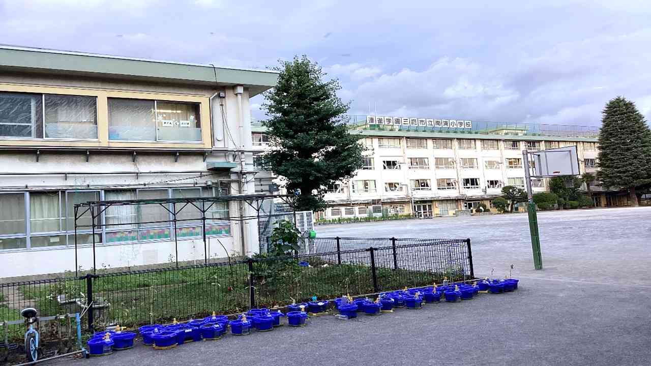建物