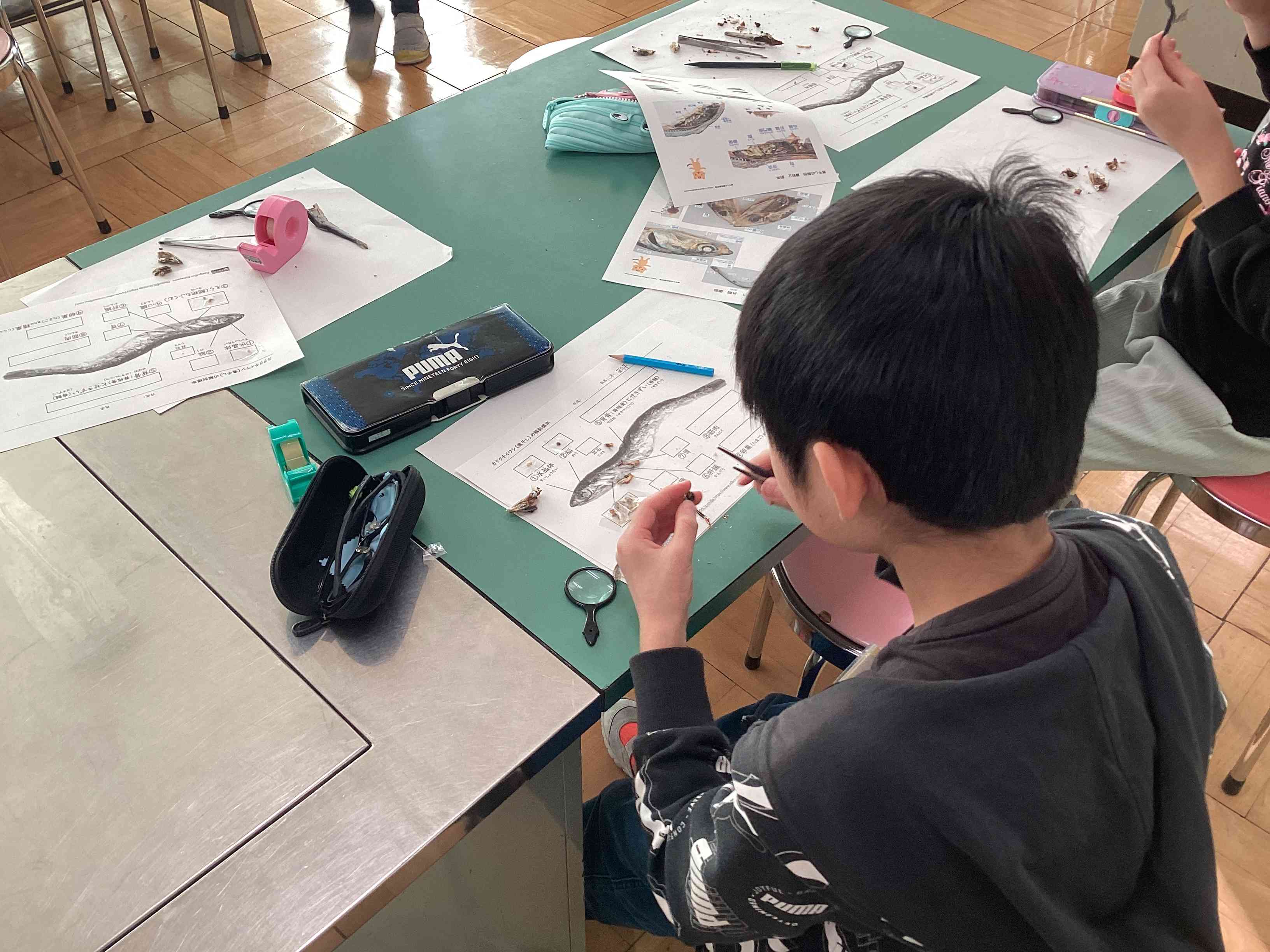 画像 -20251128-052812-e33655b5